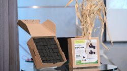 Gen Z Olah Limbah Sorgum Menjadi Biobriket Ramah Lingkungan dan Bernilai Guna