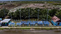 Produksi EBT Pertamina Dukung Ketahanan Kelistrikan di Tengah Dinamika Energi Global