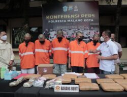 Peredaran Ganja Sebanyak 14,5 Kilo Gram Berhasil Digagalkan Polresta Malang Kota
