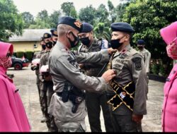 Memasuki Masa Purna Bakti, Danyon A Pelopor Satbrimob Polda Sumsel Lepas Tiga Personel Memasuki Masa Purna Bakti, Danyon A Pelopor Satbrimob Polda Sumsel Lepas Tiga Personel