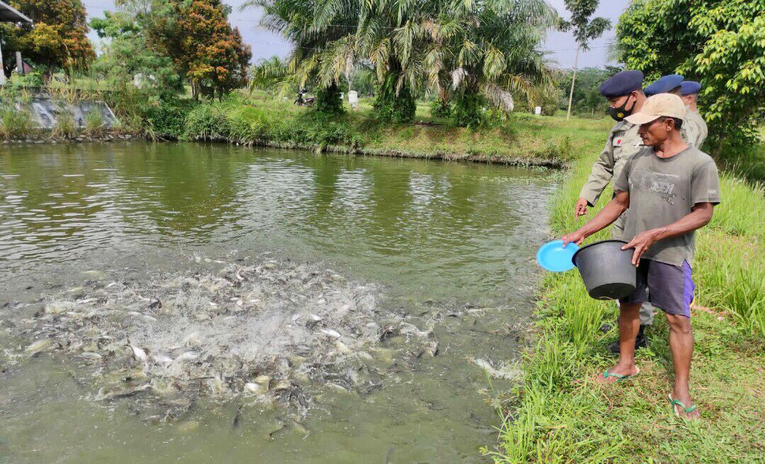 Dukung Program Ketahanan Pangan Nasional, Brimob Sumsel Kunjungi Peternak Ikan