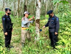 Patroli Dialogis, Personil Brimob Polda Sumsel Sambangi Petani Karet di OKU Timur Patroli Dialogis, Personil Brimob Polda Sumsel Sambangi Petani Karet di OKU Timur