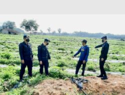 Giat Patroli Dialogis, Brimob Polda Sumsel Sambangi Para Petani Di OKU Timur Giat Patroli Dialogis, Brimob Polda Sumsel Sambangi Para Petani Di OKU Timur