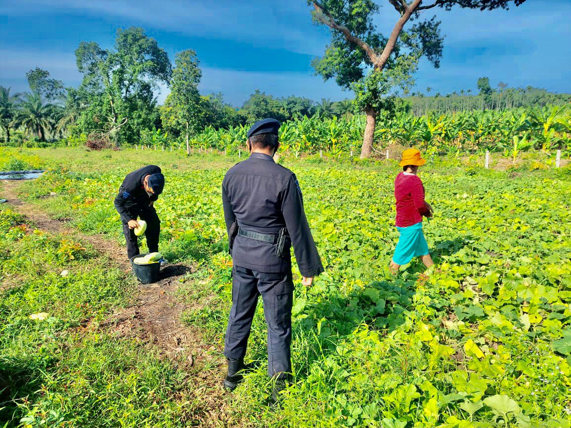 Tingkatkan Produktivitas Pangan Melalui Patroli Dialogis, Brimob Polda Sumsel Sambangi Petani Sayuran