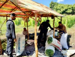 Sambangi  Petani di Ogan Ilir, Personil Brimob Polda Sumsel Berikan Edukasi  Ketahanan Pangan Nasional Di Masa Pandemi