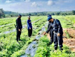 Sambangi Petani di OKU Timur, Brimob Sumsel Ajak Petani Dukung Program Ketahanan Pangan Nasional