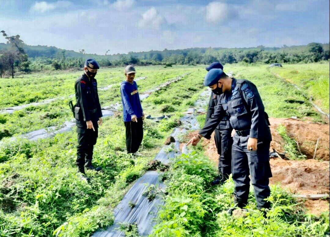 Sambangi Petani di OKU Timur, Brimob Sumsel Ajak Petani Dukung Program Ketahanan Pangan Nasional