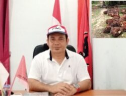 Akibat pembelian TBS di PKS tak sesuai Harga Yang Ditetapkan Pendapatan Masyarakat Merugi, Bupati Diminta Tegas 2022