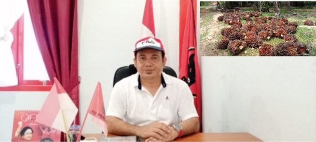 Akibat pembelian TBS di PKS tak sesuai Harga Yang Ditetapkan Pendapatan Masyarakat Merugi, Bupati Diminta Tegas 2022