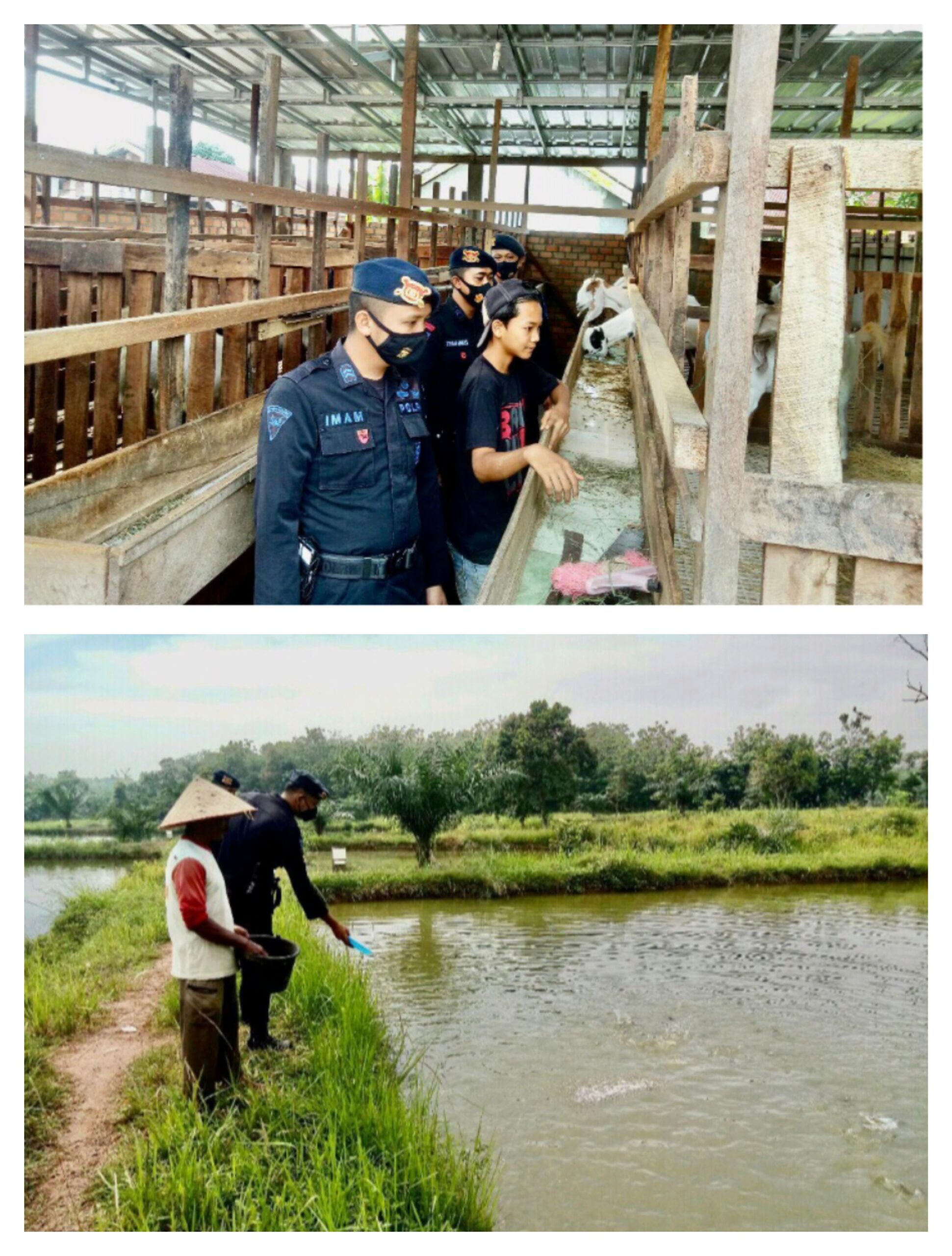 Wujud Kepedulian Dalam Menjaga Ketahanan Pangan Nasional, Personel Brimob Polda Sumsel Sambangi Peternak Kambing di OKU Timur