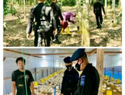 Sambangi Peternak dan Petani di OKU Timur, Brimob Sumsel Himbau Untuk Tetap Tingkatkan Produktivitas Pangan