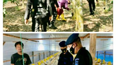 Sambangi Peternak dan Petani di OKU Timur, Brimob Sumsel Himbau Untuk Tetap Tingkatkan Produktivitas Pangan