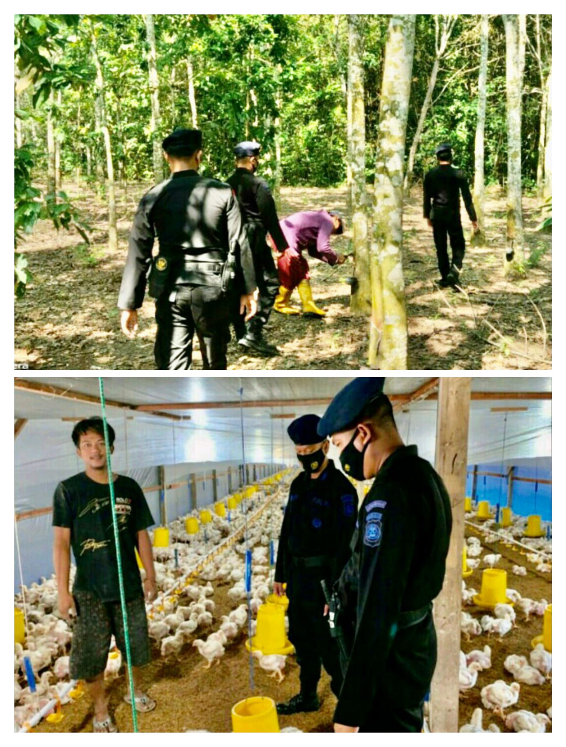 Sambangi Peternak dan Petani di OKU Timur, Brimob Sumsel Himbau Untuk Tetap Tingkatkan Produktivitas Pangan
