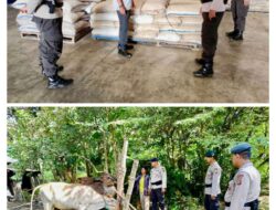Brimob Sumsel Kerahkan Personel, Tinjau Gudang Bulog dan Sambangi Peternak Sapi Di OKU Timur