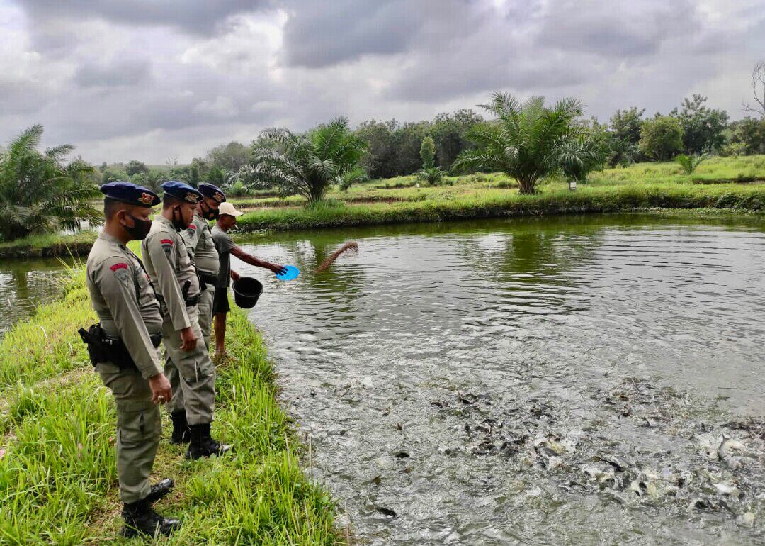 Kembali, Brimob Sumsel Sambangi Peternak Ikan Guna Mendukung Program Ketahanan Pangan Nasional