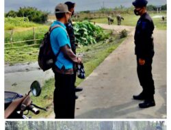 Gelar Patroli Di Dua Kecamatan Ogan Ilir, Personel Brimob Sumsel Tak Lupa Himbau Masyarakat Untuk Tetap Tingkatkan Produktivitas Pangan Gelar Patroli Di Dua Kecamatan Ogan Ilir, Personel Brimob Sumsel Tak Lupa Himbau Masyarakat Untuk Tetap Tingkatkan Produktivitas Pangan