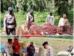Patroli Di OKU Timur, Brimob Polda Sumsel Himbau Petani Untuk Tingkatkan Produktivitas Pangan Patroli Di OKU Timur, Brimob Polda Sumsel Himbau Petani Untuk Tingkatkan Produktivitas Pangan