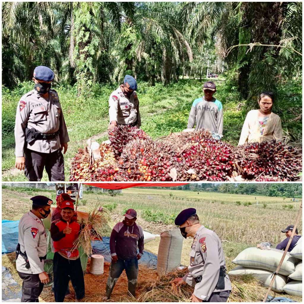 Patroli Di OKU Timur, Brimob Polda Sumsel Himbau Petani Untuk Tingkatkan Produktivitas Pangan