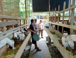 Sambangi Peternak Kambing Di OKU Timur, Personil Brimob Polda Sumsel Beri Himbauan Terkait Ketahanan Pangan Nasional
