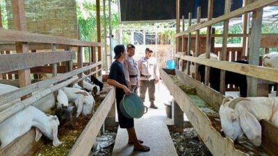 Sambangi Peternak Kambing Di OKU Timur, Personil Brimob Polda Sumsel Beri Himbauan Terkait Ketahanan Pangan Nasional