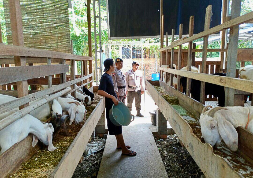 Sambangi Peternak Kambing Di OKU Timur, Personil Brimob Polda Sumsel Beri Himbauan Terkait Ketahanan Pangan Nasional