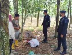 Gelar Patroli Dialogis Di Ogan Ilir, Brimob Polda Sumsel Tingkatkan Penjagaan Kondusifitas Wilayah