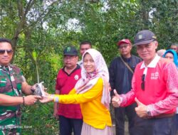 Kunjungan Kadisporapar Provinsi Dan Memberikan Bantuan Bibit Manggrove, Tempat Sampah, Plan Sapta Pesona Kepada Pokdawis Manggrove Kuala Singkawang 2022 Kunjungan Kadisporapar Provinsi Dan Memberikan Bantuan Bibit Manggrove, Tempat Sampah, Plan Sapta Pesona Kepada Pokdawis Manggrove Kuala Singkawang 2022