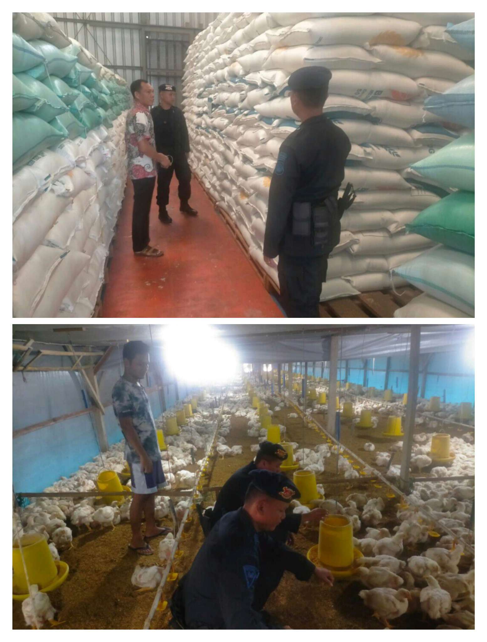 Tingkatkan Ketahanan Pangan Nasional, Brimob Sumsel Kerahkan Personel, Tinjau Gudang Bulog Dan Sambangi Peternak Di OKU Timur
