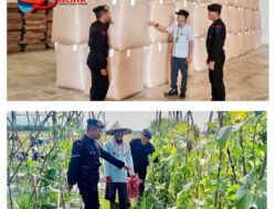 Berikan Himbauan Terkait Peningkatan Produktivitas Pangan Dilakukan Personel Brimob Saat Tinjau Gudang Bulog Dan Sambangi Petani Di OKU Timur