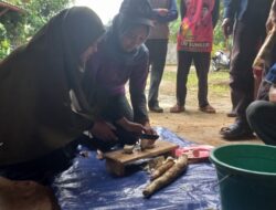 Tingkatkan Nilai Ekonomis, FMIPA UI Ciptakan Inovasi Singkong Menjadi ‘Chips Mocaf’ di Sukarame Tingkatkan Nilai Ekonomis, FMIPA UI Ciptakan Inovasi Singkong Menjadi ‘Chips Mocaf’ di Sukarame