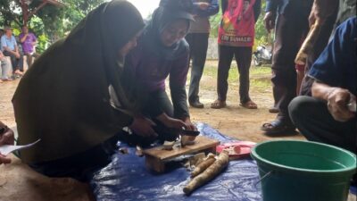 Tingkatkan Nilai Ekonomis, FMIPA UI Ciptakan Inovasi Singkong Menjadi ‘Chips Mocaf’ di Sukarame