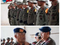 Dansat Brimob Polda Sumsel Resmi Tutup Pelatihan Manajemen Taktis Dansat Brimob Polda Sumsel Resmi Tutup Pelatihan Manajemen Taktis