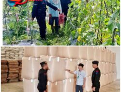 Giat Patoli Dialogis Dalam Rangka Peningkatan Produktivitas Pangan, Personel Brimob Tinjau Gudang Bulog Dan Sambangi Petani Di OKU Timur