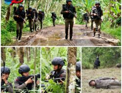 Pelatihan Jungle Warfare Untuk Asah Kemampuan Personel Bintara Remaja Korps Brimob Polda Sumsel Pelatihan Jungle Warfare Untuk Asah Kemampuan Personel Bintara Remaja Korps Brimob Polda Sumsel
