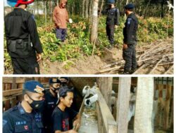 Peran Aktif Brimob Sumsel Sambangi Para Petani Dan Peternak, Guna Mendukung Pemerintah Dalam Peningkatan Produktivitas Pangan Peran Aktif Brimob Sumsel Sambangi Para Petani Dan Peternak, Guna Mendukung Pemerintah Dalam Peningkatan Produktivitas Pangan