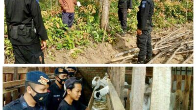 Peran Aktif Brimob Sumsel Sambangi Para Petani Dan Peternak, Guna Mendukung Pemerintah Dalam Peningkatan Produktivitas Pangan