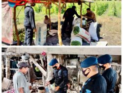 Brimob Sumsel Ingatkan Petani Untuk Terus Tingkatkan Produktivitas Pangan Dalam Giat Patroli Di Ogan Ilir Brimob Sumsel Ingatkan Petani Untuk Terus Tingkatkan Produktivitas Pangan Dalam Giat Patroli Di Ogan Ilir