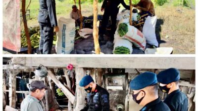 Brimob Sumsel Ingatkan Petani Untuk Terus Tingkatkan Produktivitas Pangan Dalam Giat Patroli Di Ogan Ilir