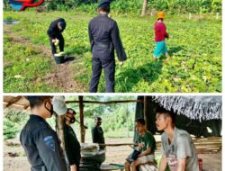 Selain Berikan Rasa Aman, Brimob Sumsel Juga Himbau Petani Ogan Ilir Untuk Terus Tingkatkan Produktivitas Pangan Selain Berikan Rasa Aman, Brimob Sumsel Juga Himbau Petani Ogan Ilir Untuk Terus Tingkatkan Produktivitas Pangan