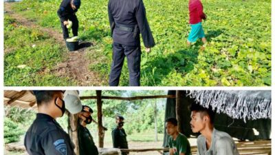 Selain Berikan Rasa Aman, Brimob Sumsel Juga Himbau Petani Ogan Ilir Untuk Terus Tingkatkan Produktivitas Pangan