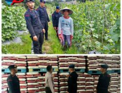 Lakukan Pengecekkan Produktivitas Pangan,  Personel Brimob Sumsel Sambangi Gudang Bulog fan Petani di OKU Timur