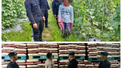 Lakukan Pengecekkan Produktivitas Pangan,  Personel Brimob Sumsel Sambangi Gudang Bulog fan Petani di OKU Timur