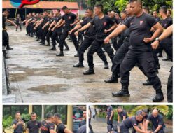 Personil Brimob Polda Sumsel Berlatih Ilmu Beladiri Praktis Brigade Untuk Meningkatkan Keterampilan Anggota Personil Brimob Polda Sumsel Berlatih Ilmu Beladiri Praktis Brigade Untuk Meningkatkan Keterampilan Anggota