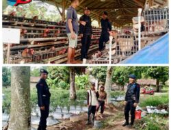 Patroli Di Ogan Ilir, Personel Brimob Sumsel Sambangi Petani dan Peternak, Berikan Himbauan Untuk Terus Tingkatkan Produktivitas Pangan Patroli Di Ogan Ilir, Personel Brimob Sumsel Sambangi Petani dan Peternak, Berikan Himbauan Untuk Terus Tingkatkan Produktivitas Pangan