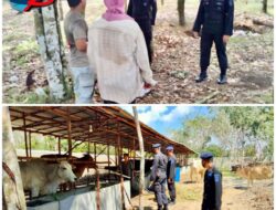 Brimob Sumsel Himbau Para Petani dan Peternak Ogan Ilir, Terkait Peningkatan Produktivitas Pangan