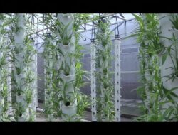 Inovasi Urban Farming Dengan IoT Ala Mahasiswa Inovasi Urban Farming Dengan IoT Ala Mahasiswa