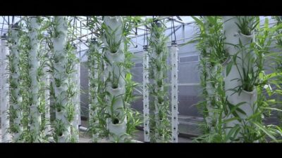 Inovasi Urban Farming Dengan IoT Ala Mahasiswa 