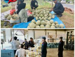 Sambangi Petani di OKU Timur, Personel Brimob Sumsel Himbau Tingkatkan Produktivitas Pangan Sambangi Petani di OKU Timur, Personel Brimob Sumsel Himbau Tingkatkan Produktivitas Pangan