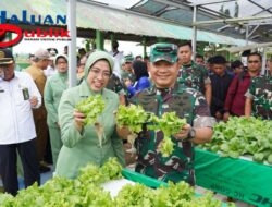 Kawasan Agrowisata Tekno 44, Diresmikan Kasad Kawasan Agrowisata Tekno 44, Diresmikan Kasad