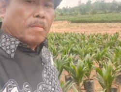 Luar Biasa !!! Pak Suwito, Kucurkan 1,5 Milyar Untuk Gaji Pekerja Luar Biasa !!! Pak Suwito, Kucurkan 1,5 Milyar Untuk Gaji Pekerja
